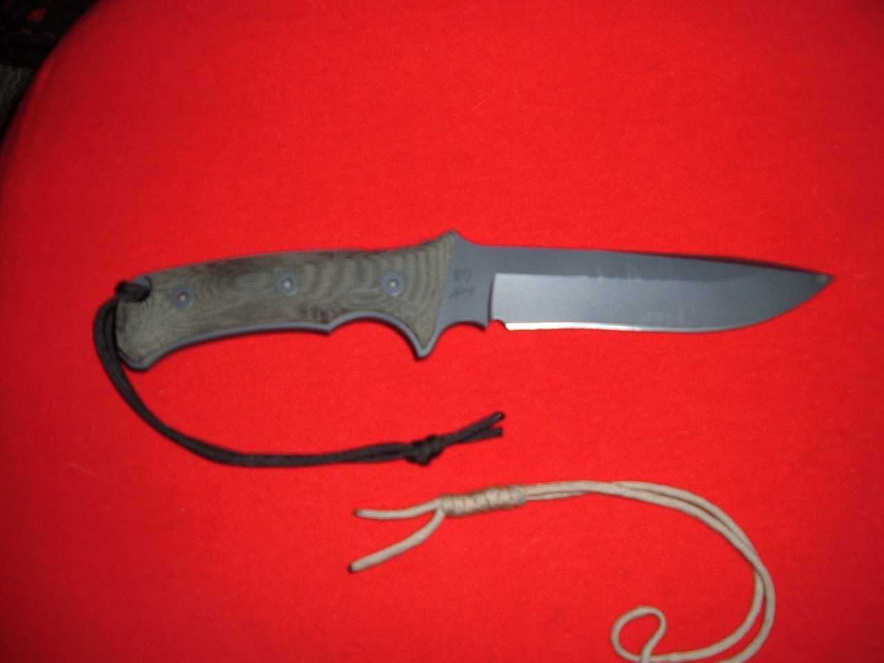DSCF0646.jpg