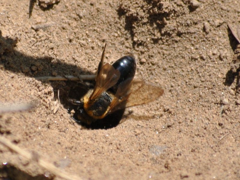 DSC_1129.jpg