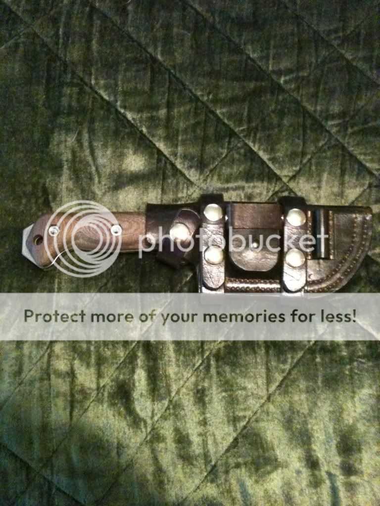 db329795.jpg