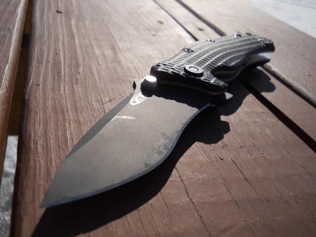 ZT005_zpsac87a3d5.jpg