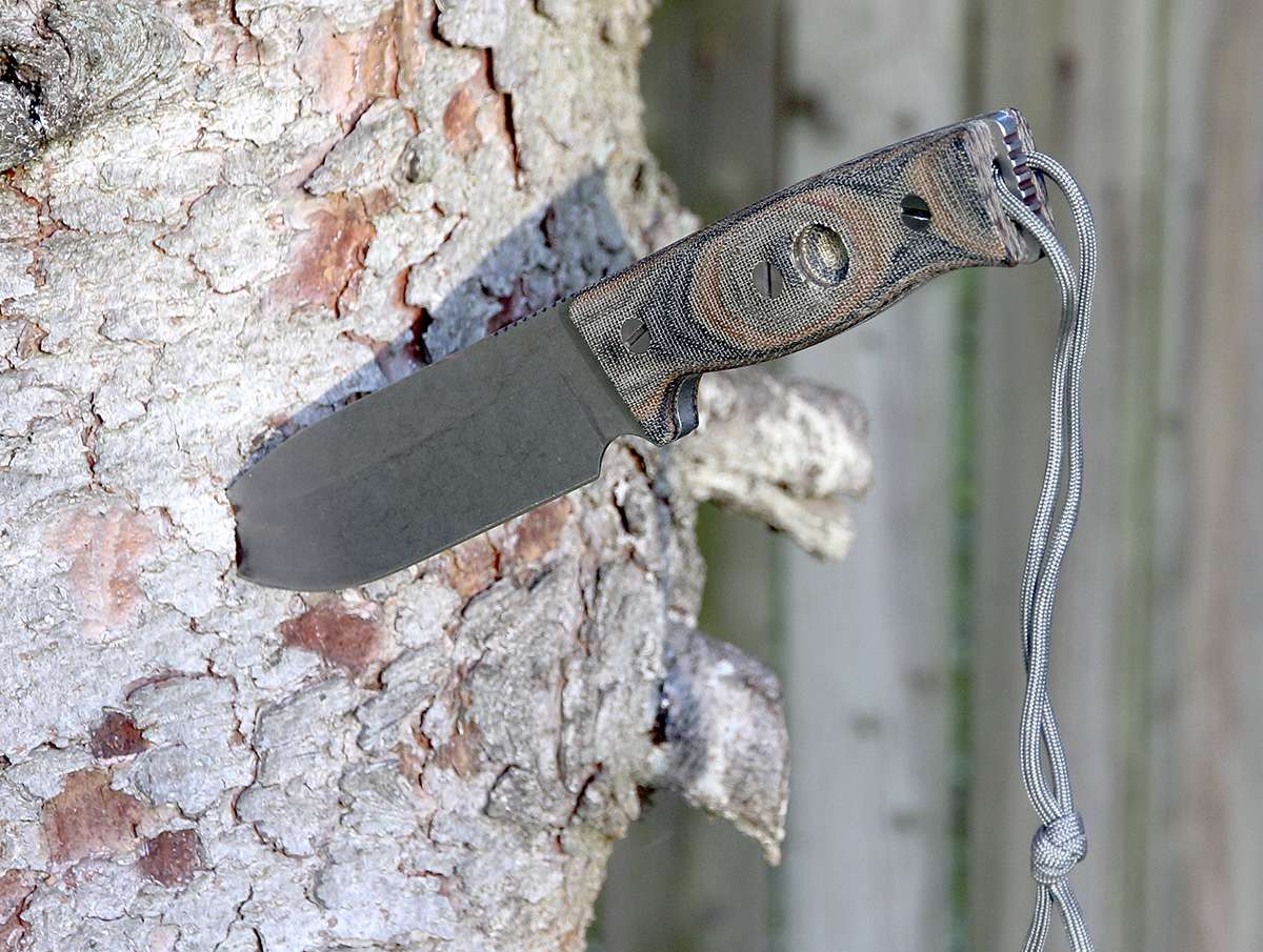 8Z36CM.jpg