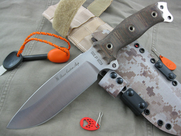 Busse_SFNOLE_PPKS_002.jpg