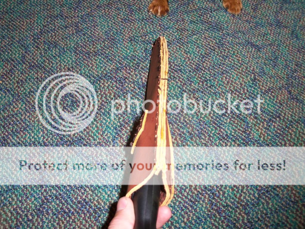100_5373.jpg