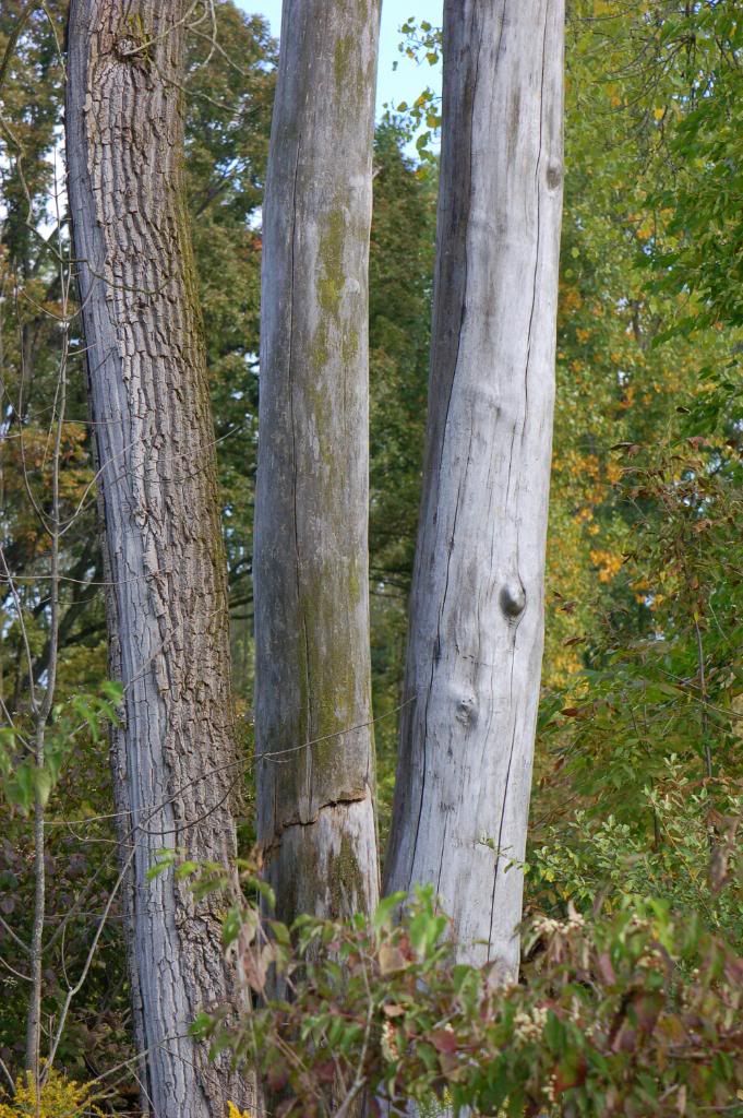 DSC_0016-6.jpg