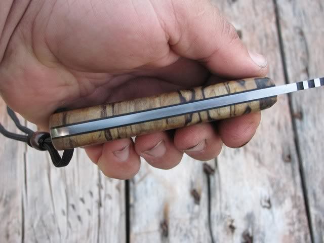 spaltedbirch03151200006.jpg