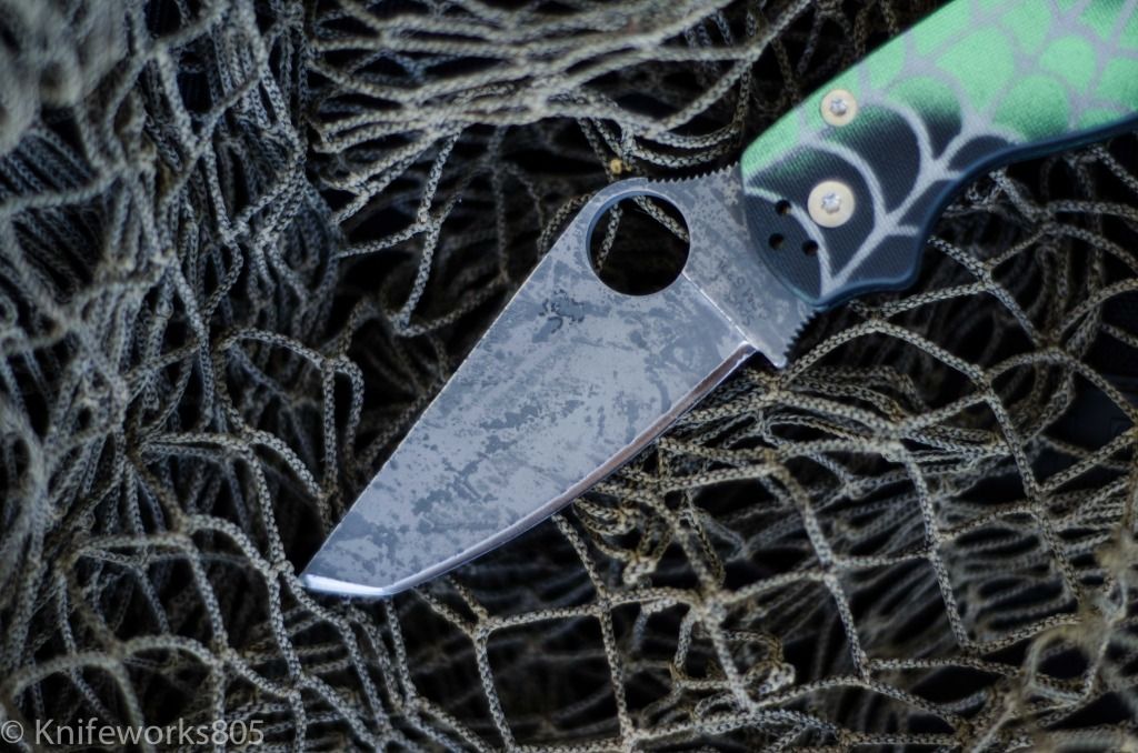 DSC_5432.jpg