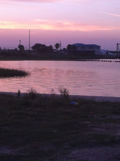 IMG_0290.jpg