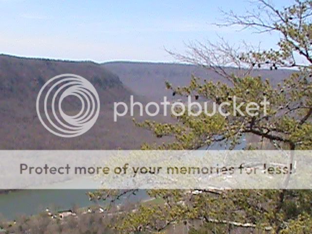 DSC00244.jpg