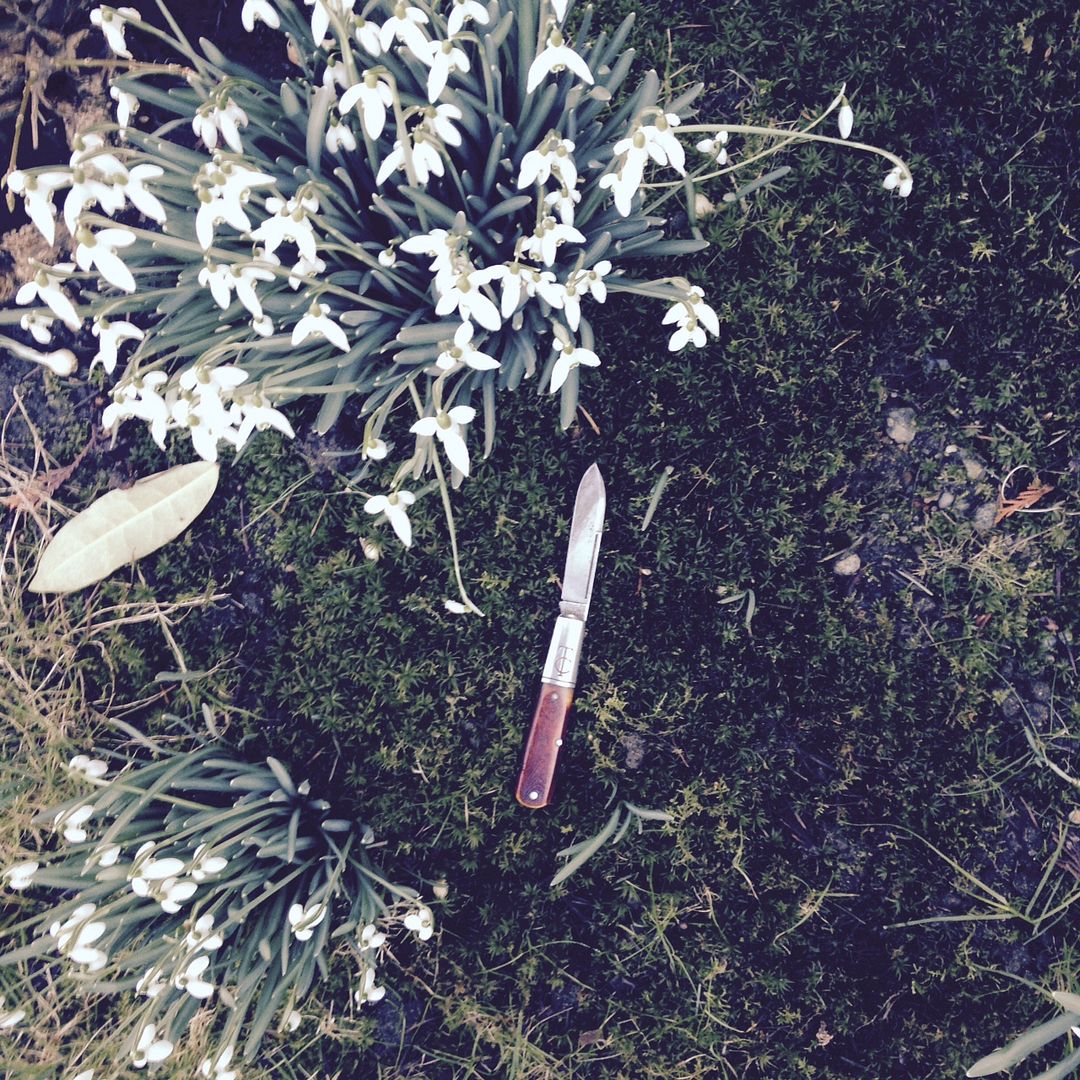 Spring2_zpsf150ead4.jpg