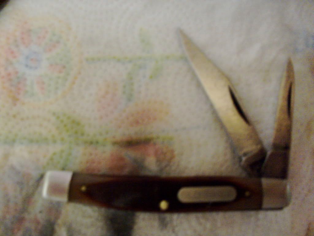 PICT0060.jpg