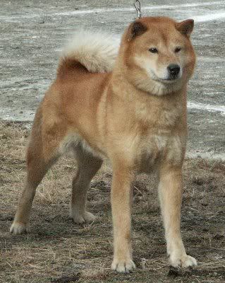 hokkaido.jpg