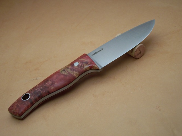 bspv01-vi.jpg