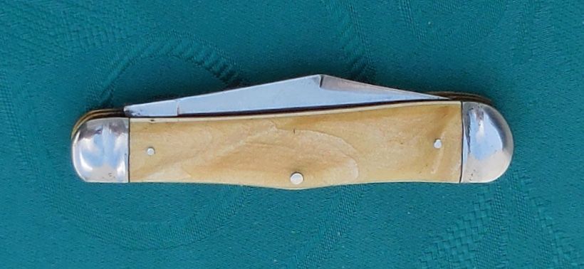 DSCN0501_zpsiriipegs.jpg