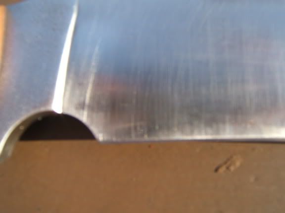 DSCF2100.jpg