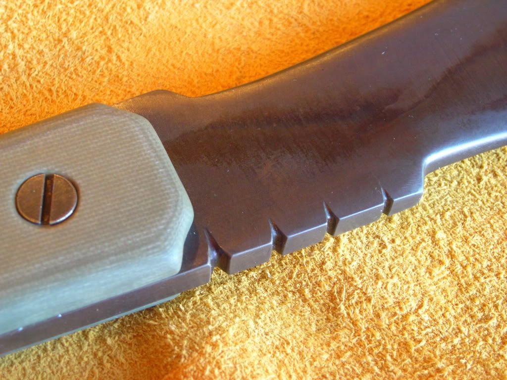 DSCN6814.jpg