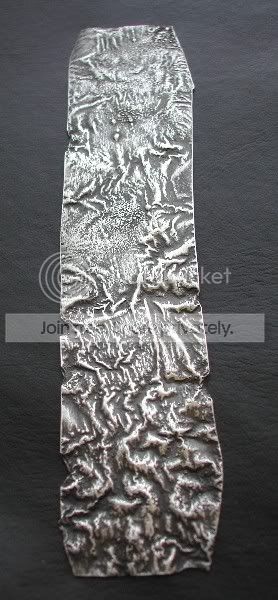 Reticulatedsilver003a.jpg