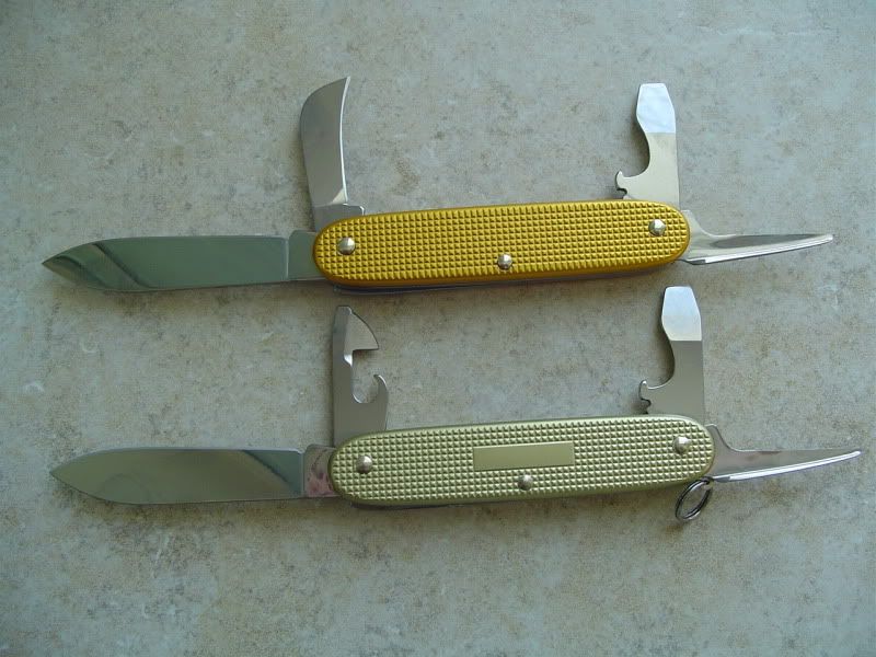 VicSpyderPics008.jpg