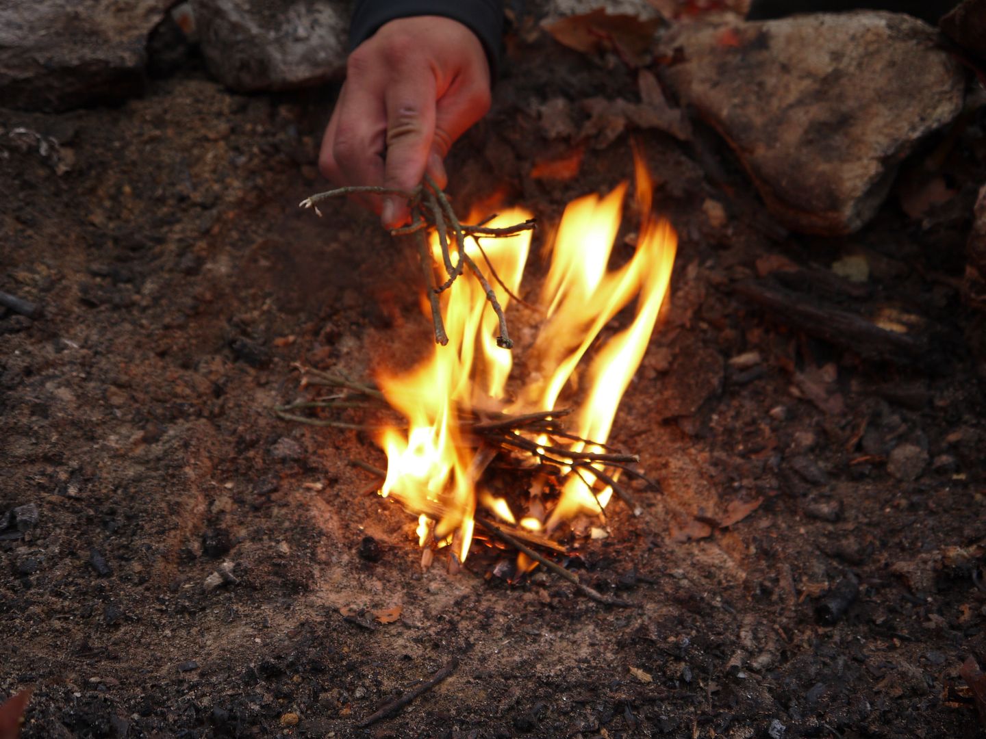 P1000449.jpg