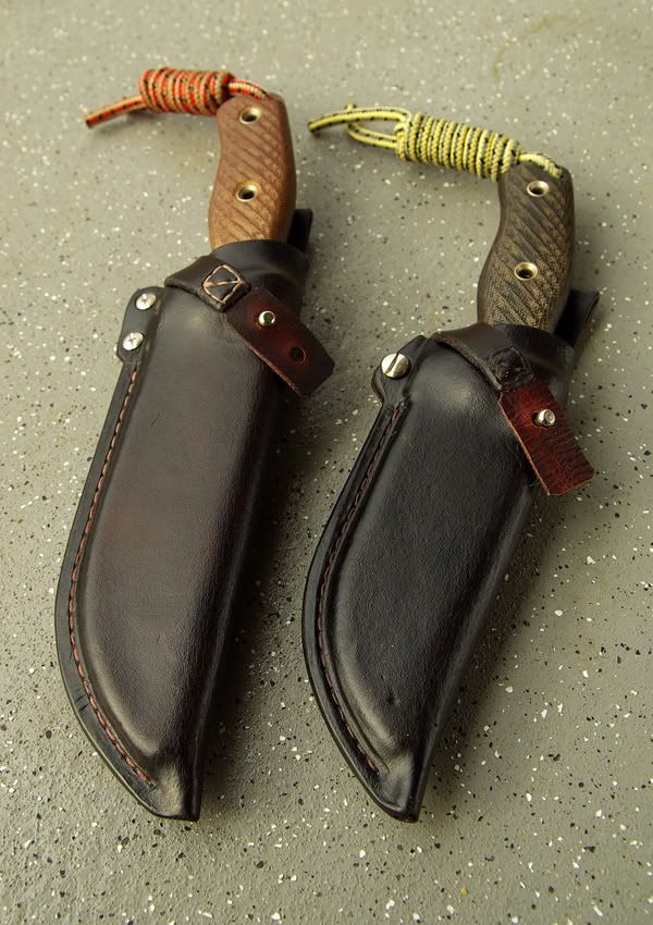 RatSheaths04.jpg