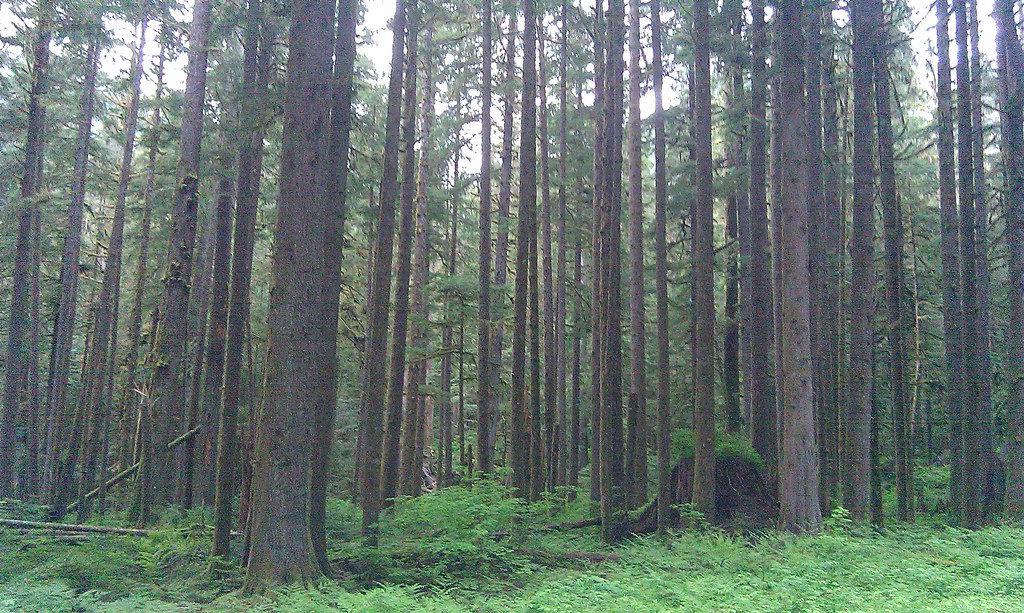 5849584876_989fe407c8_b.jpg