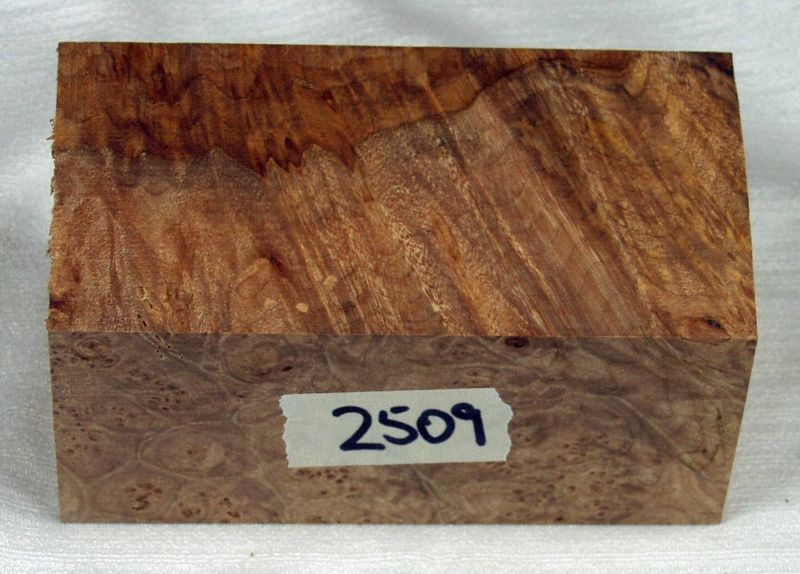 2509a.jpg