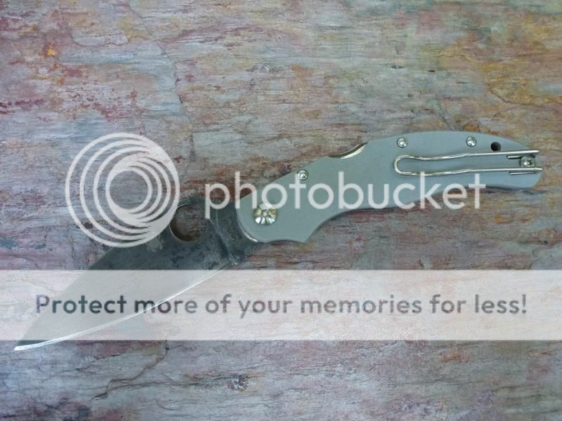 SpydercoCaly35SuperBlue2_zps6f476174.jpg