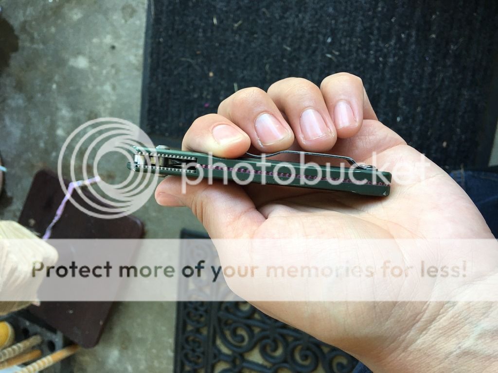 IMG_2100_zpsyecvedp3.jpg