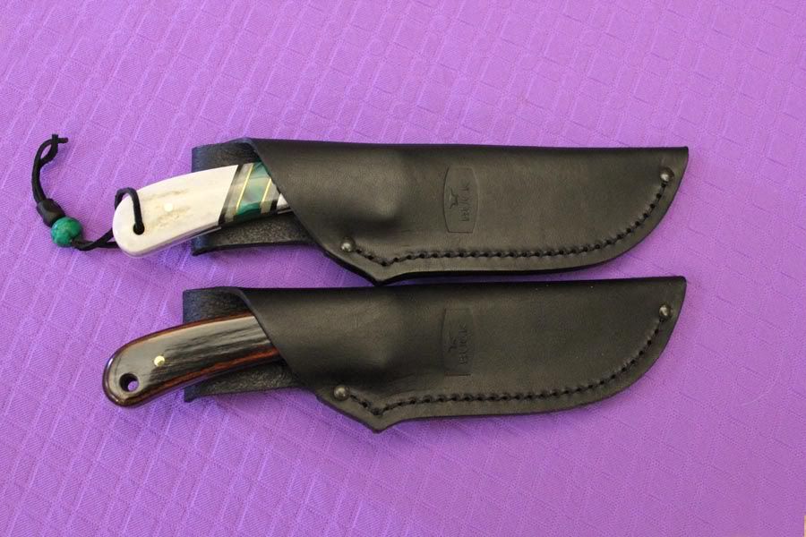 Ranger113s.jpg