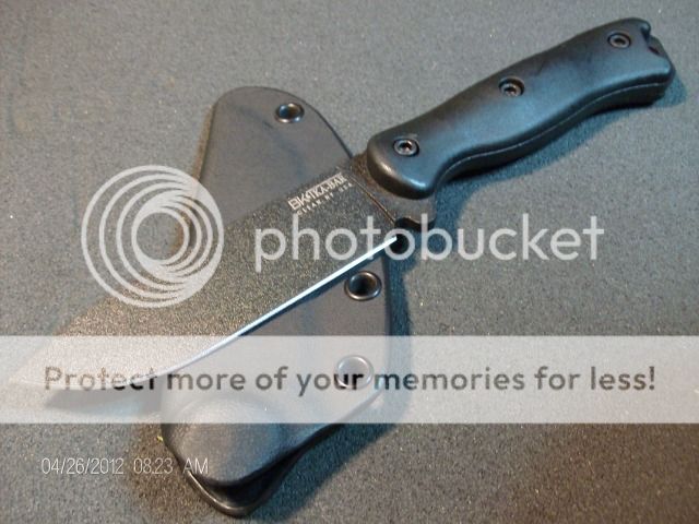 Beckerhead6.jpg