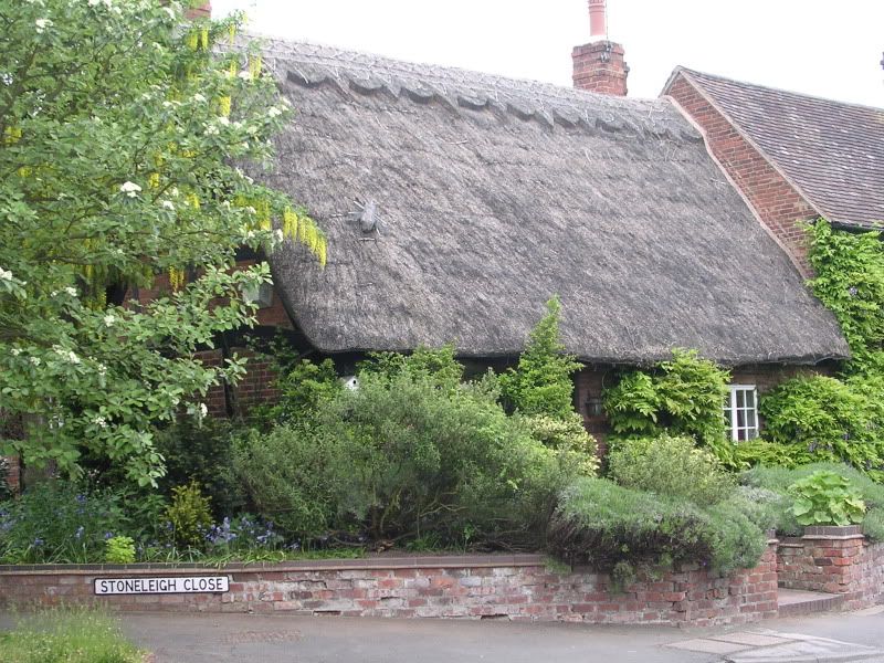 DSCN0962.jpg