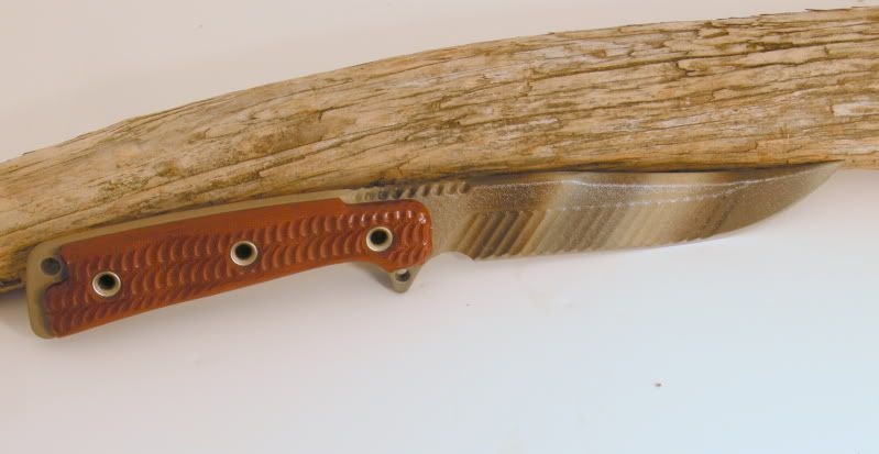 DSCN6556.jpg