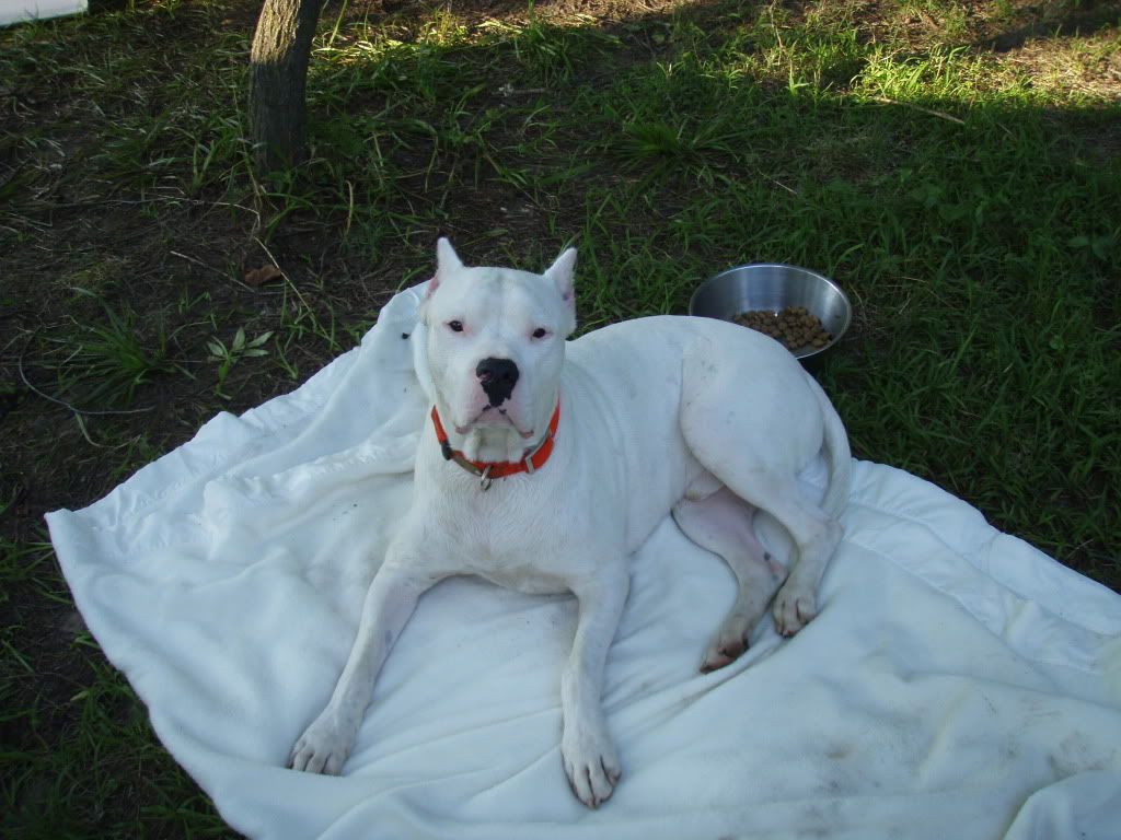 camping031.jpg