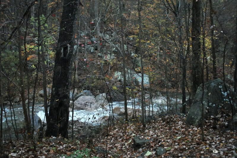 DSC_5448.jpg