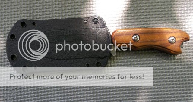 100_1235.jpg