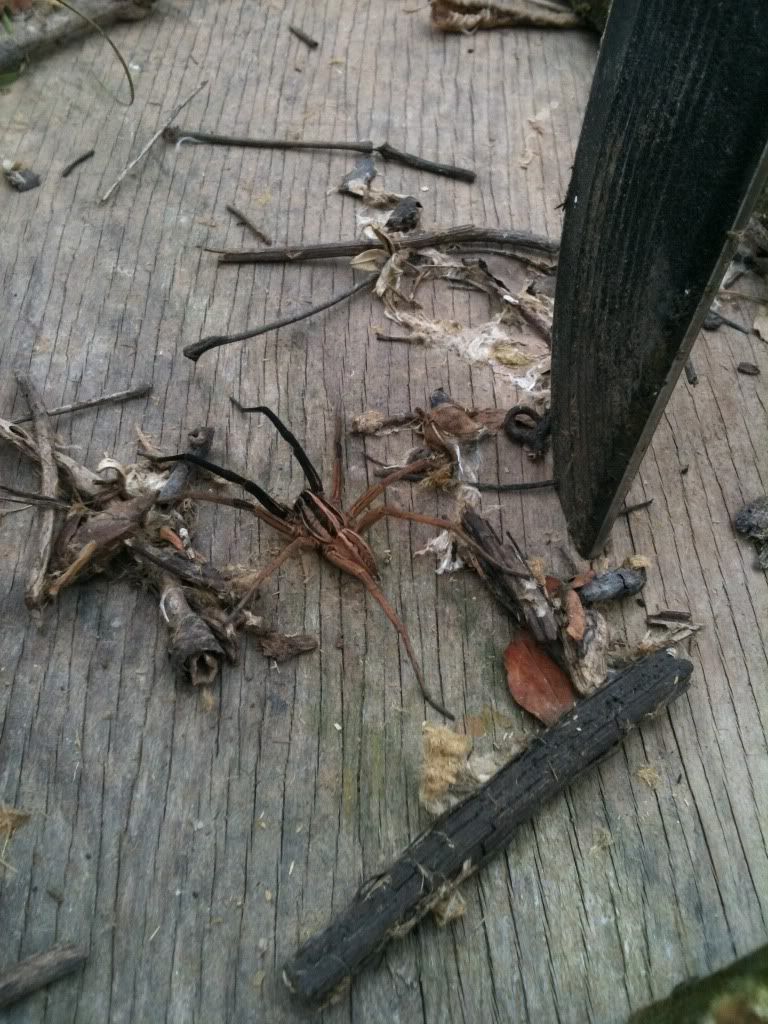 photo-18.jpg