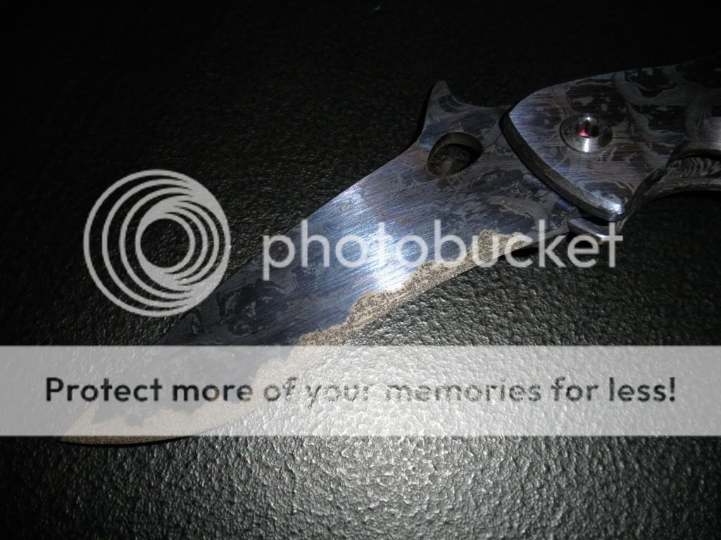 PB150229.jpg