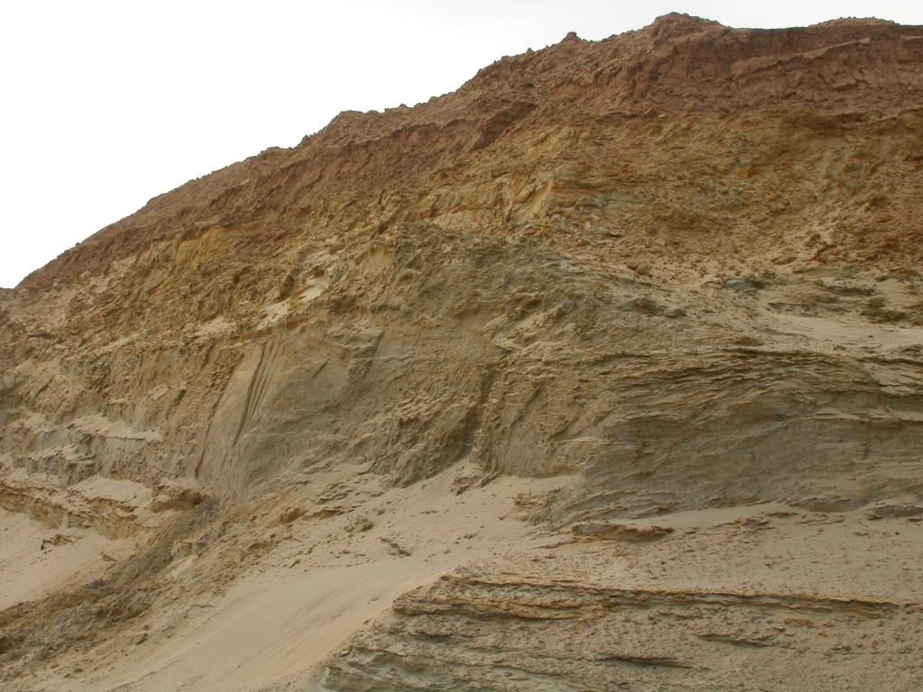 DSCN6215.jpg