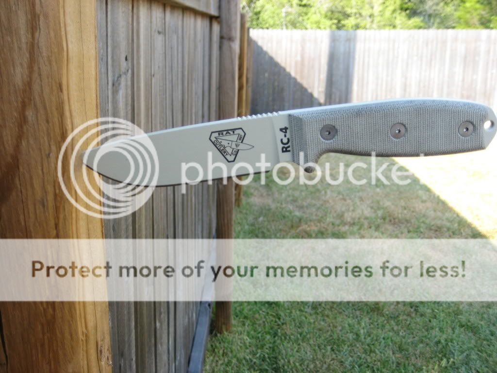 Pictures010.jpg