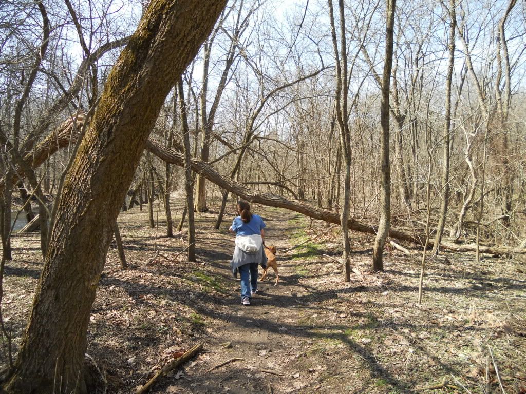025-3.jpg