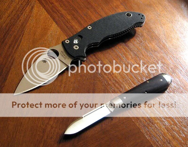 IMG_2230copy_zps3edfff49.jpg