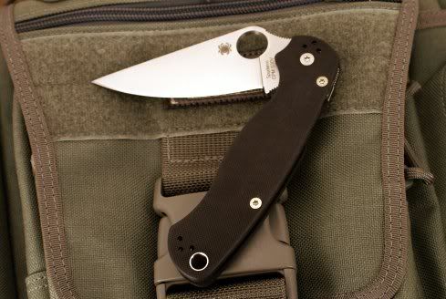 Para2s001.jpg