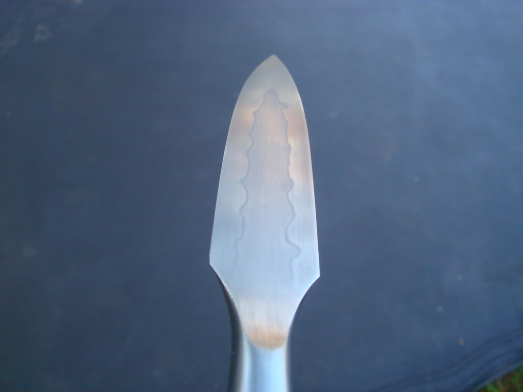 DSC02453.jpg