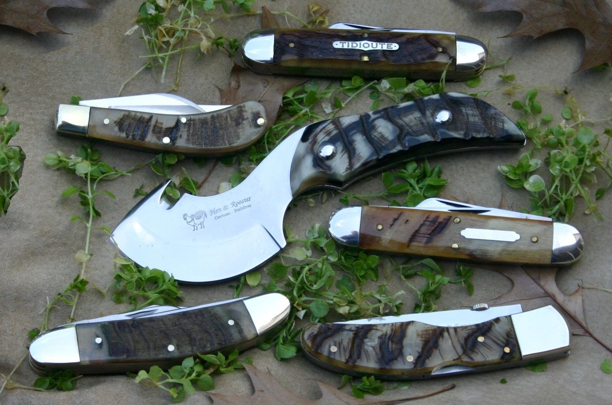 ramhorn2_zpscrpxc979.jpg~original