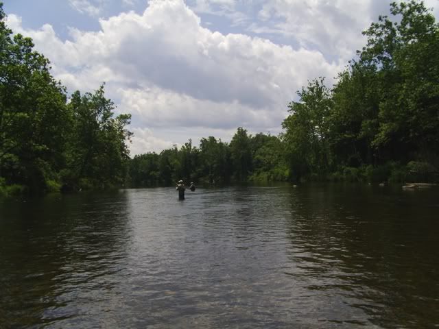 PICT0346.jpg