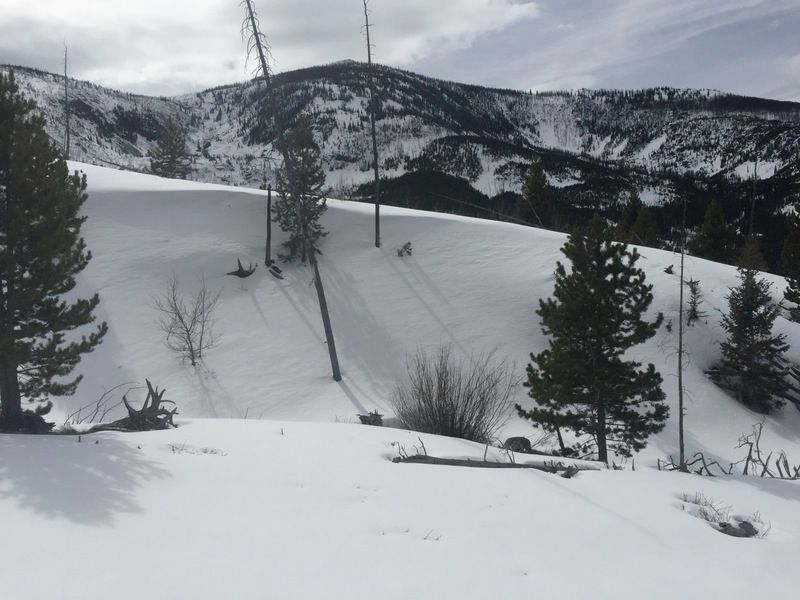 cornice_zpsqkdcivgl.jpg