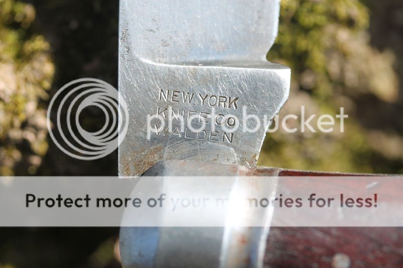 IMG_5345_zpsn22uv9qj.jpg