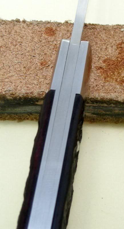 DSCN1576.jpg