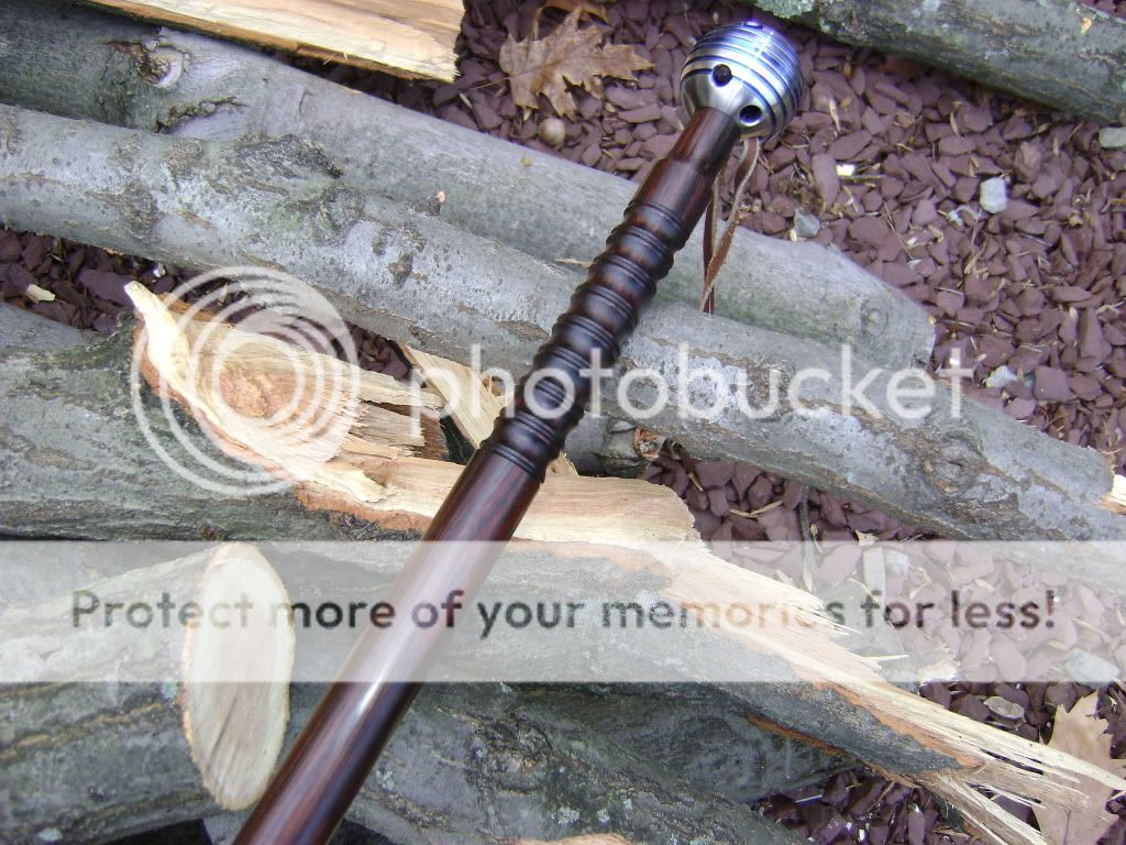 crwalkingstick008.jpg