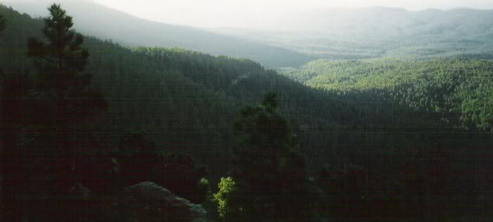 camp4.jpg