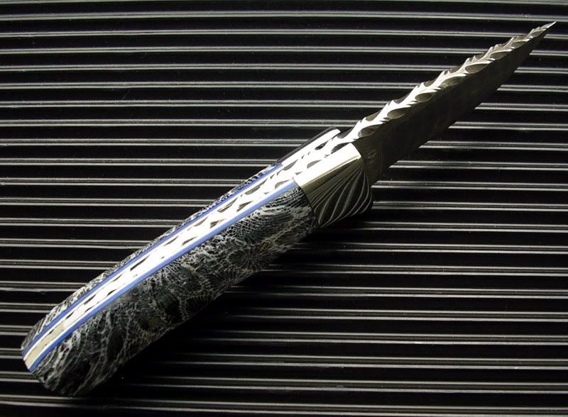 BFCoralHunterSpine.jpg